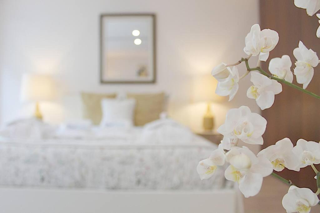 Oliveiras Charming Apartment Downtown ปอร์โต ภายนอก รูปภาพ